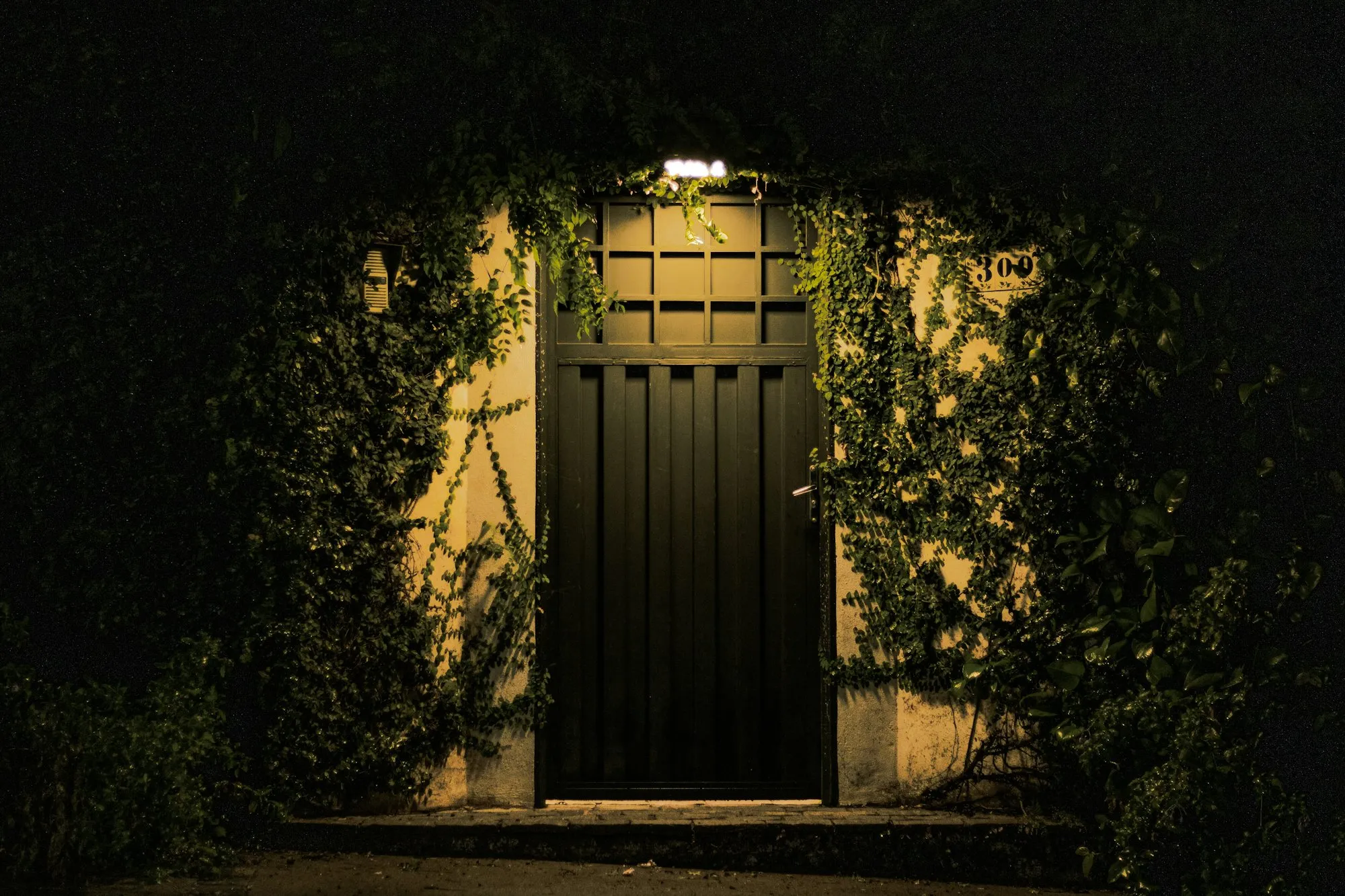 Front door lit by a porch light at night